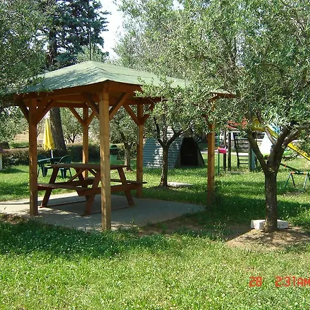 Sangallo Bedizzole